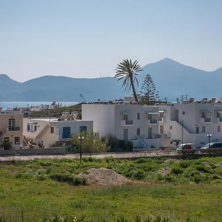 Wood And Stone Adámasz