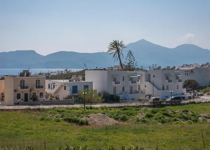 Wood And Stone Adámasz